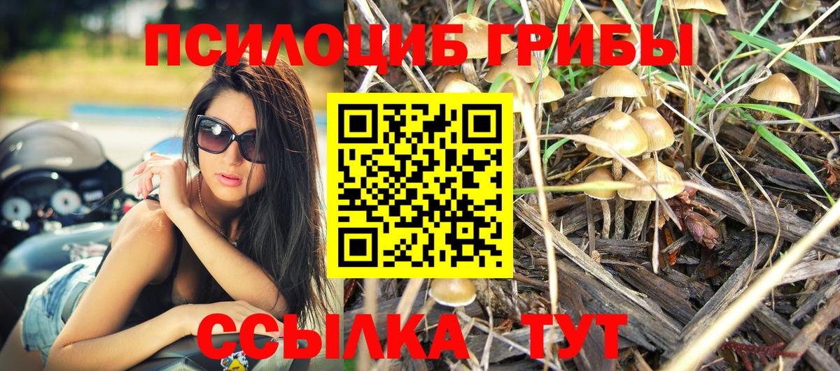 Мичуринск  Псилоцибиновые грибы Psilocybe  Галлюциногенные грибы Magic Shrooms  Вход с VPN 